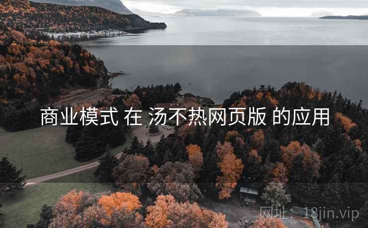 商业模式 在 汤不热网页版 的应用
