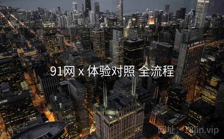 91网 x 体验对照 全流程