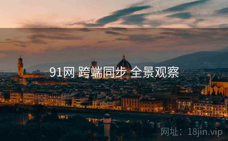 91网 跨端同步 全景观察