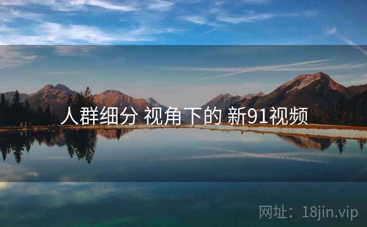 人群细分 视角下的 新91视频