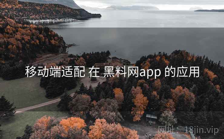 移动端适配 在 黑料网app 的应用
