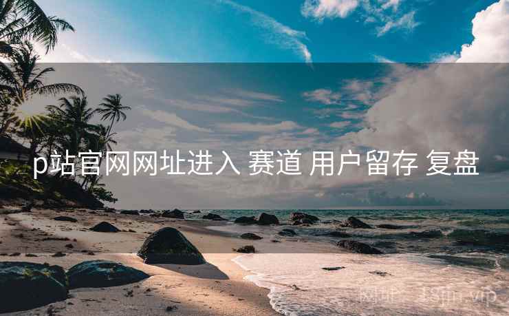 p站官网网址进入 赛道 用户留存 复盘