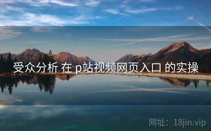 受众分析 在 p站视频网页入口 的实操