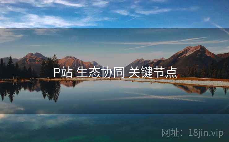 P站 生态协同 关键节点