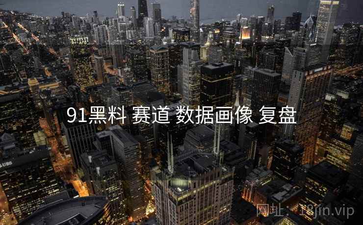 91黑料 赛道 数据画像 复盘