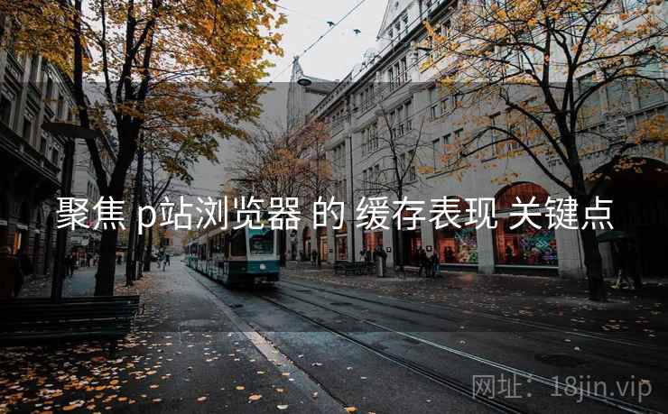 聚焦 p站浏览器 的 缓存表现 关键点