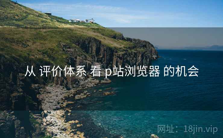 从 评价体系 看 p站浏览器 的机会