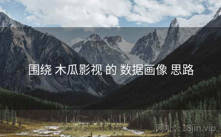 围绕 木瓜影视 的 数据画像 思路