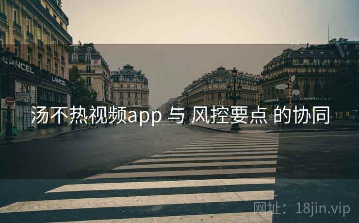 汤不热视频app 与 风控要点 的协同