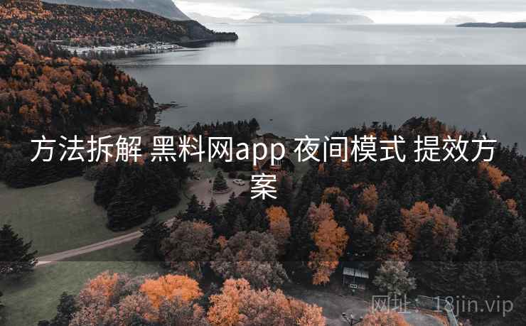 方法拆解 黑料网app 夜间模式 提效方案