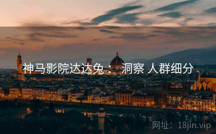神马影院达达兔 ： 洞察 人群细分