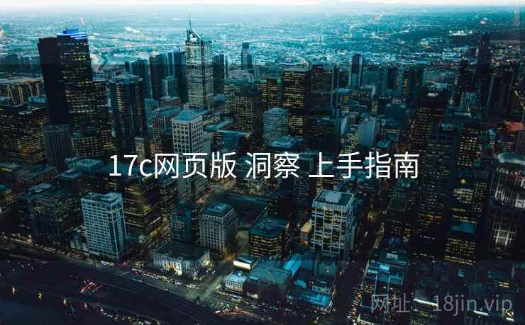17c网页版 洞察 上手指南