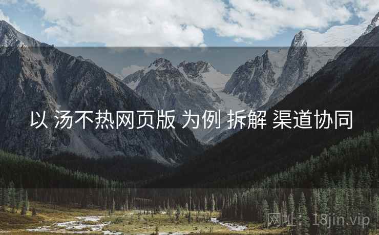 以 汤不热网页版 为例 拆解 渠道协同