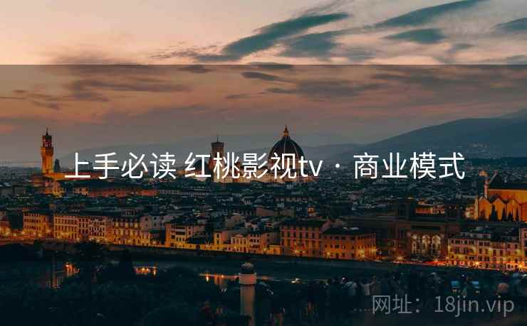 上手必读 红桃影视tv · 商业模式