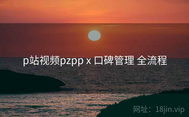 p站视频pzpp x 口碑管理 全流程