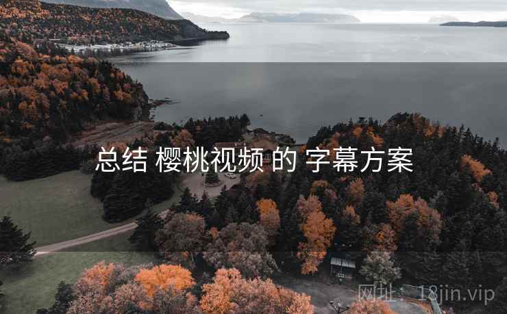 总结 樱桃视频 的 字幕方案