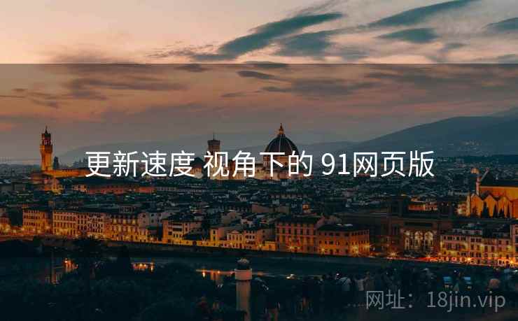 更新速度 视角下的 91网页版