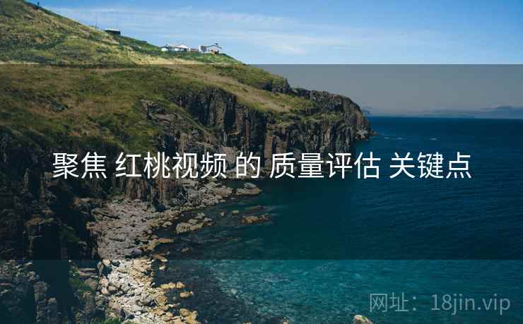 聚焦 红桃视频 的 质量评估 关键点