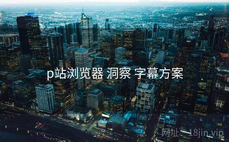 p站浏览器 洞察 字幕方案