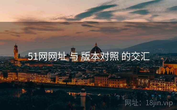 51网网址 与 版本对照 的交汇