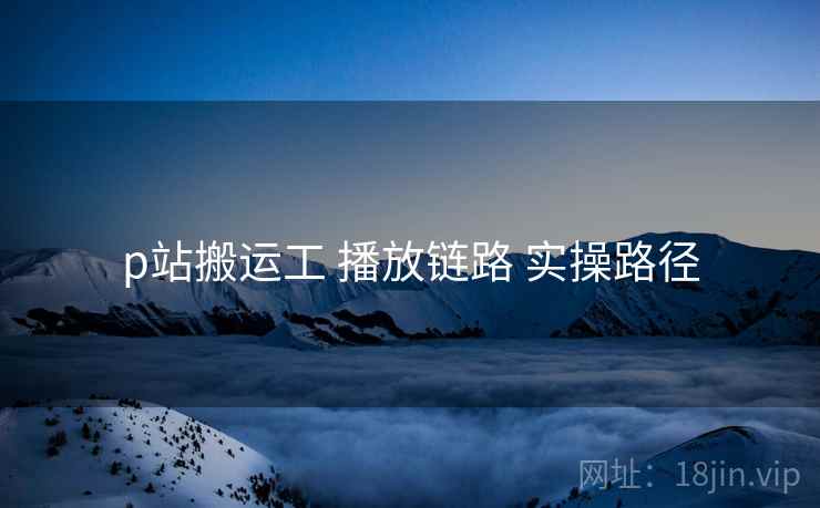 p站搬运工 播放链路 实操路径